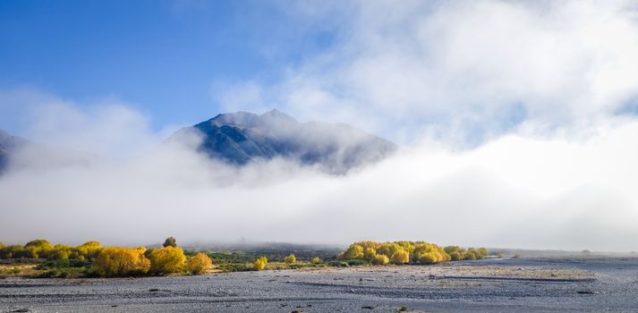 Foggy desert and Yellow forest in New Zealand mountains