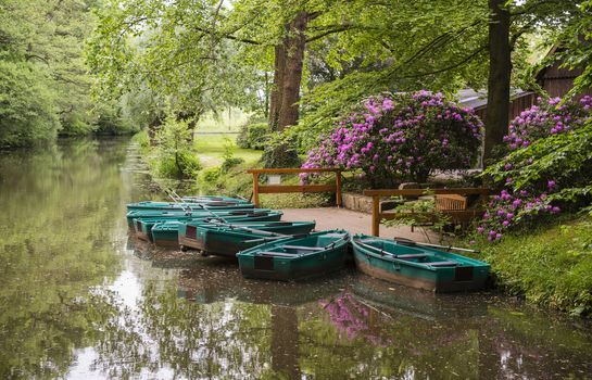 green rowing boats for rent in small river in beautiful nature with flowering rhododendron and green forest in Alstatte, Germany