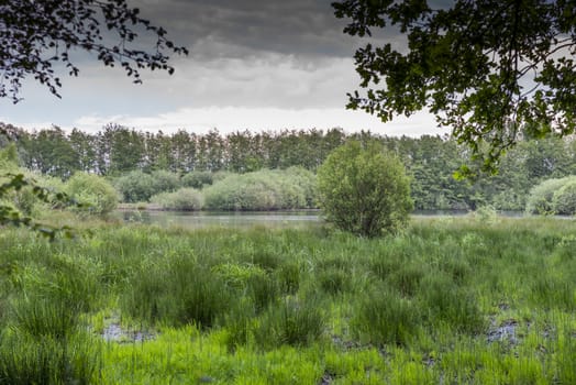 small lake or pond in green nature landscape in germany with clouds 