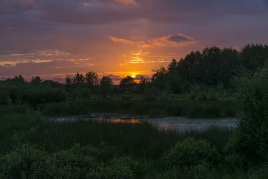 late evening sunset in may in the forest of alstatte in germany with forest and small pond 