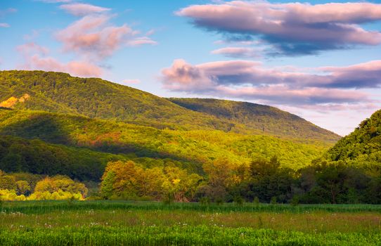 beautiful mountainous countryside at sunrise. lovely summer landscape with pink clouds