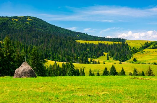 mountainous rural area on a bright summer day. rolling hills with haystacks and spruce forest. mountain ridge in the far distance.