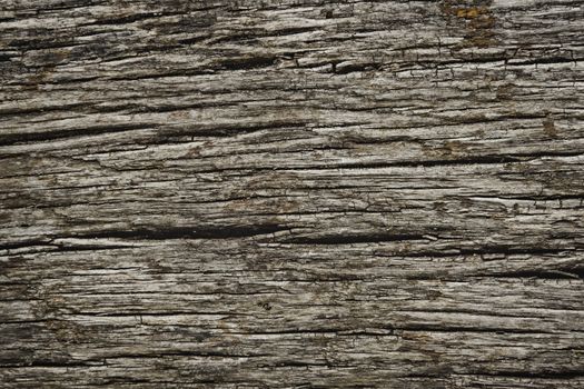 Abstract Background Texture Of Old Rough Dark Wood