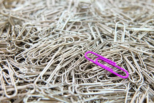 purple paper clip on multiple paper clips background.