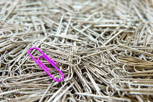 purple paper clip on multiple paper clips background.