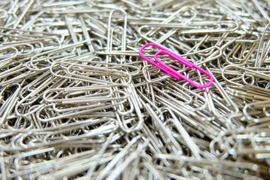 Pink paper clip on multiple paper clips background.
