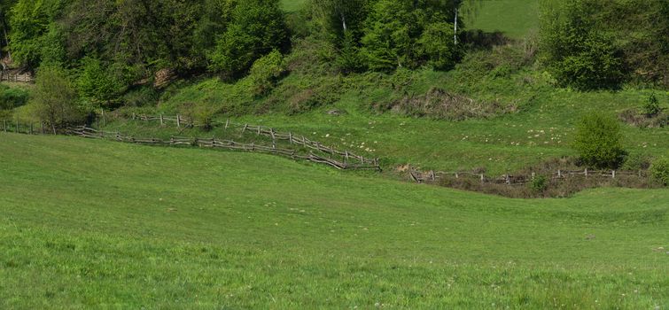 Panorama of a typical alpine meadow with wood fence.
Mountain and valley