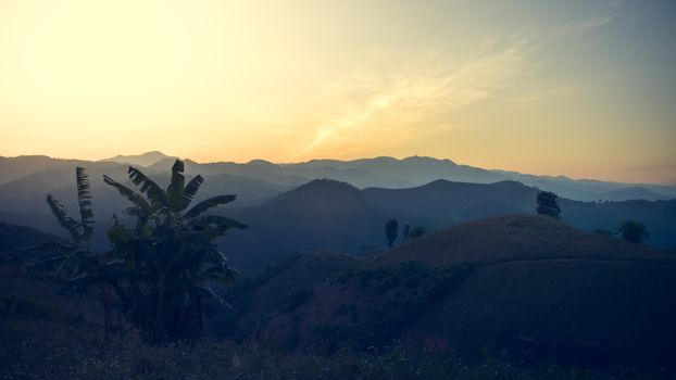 Landscape of forest mountains among mist on sunset