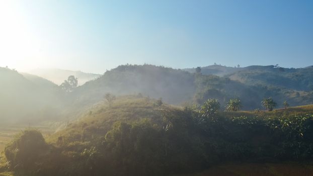 Landscape of forest and mountains among mist