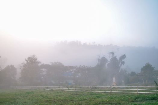 Cottage in the village among mountain and fog