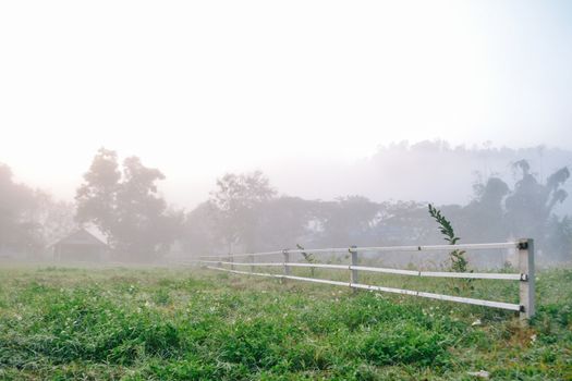 Cottage in the village among mountain and fog