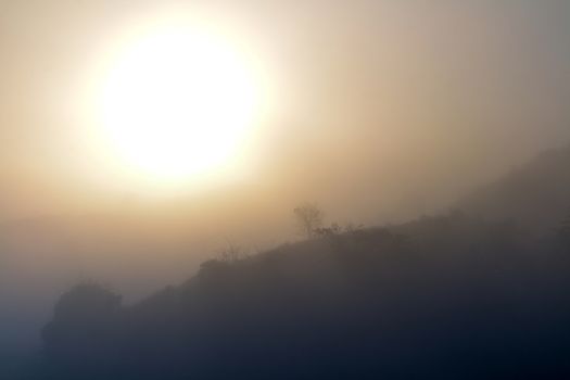 Landscape of forest and mountains among mist