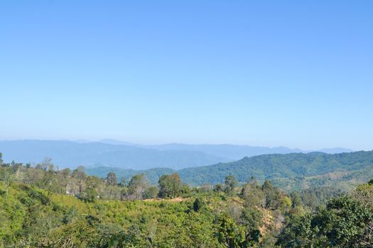 Landscape of forest and mountain