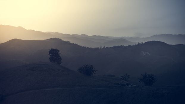 Landscape of forest mountains among mist on sunset