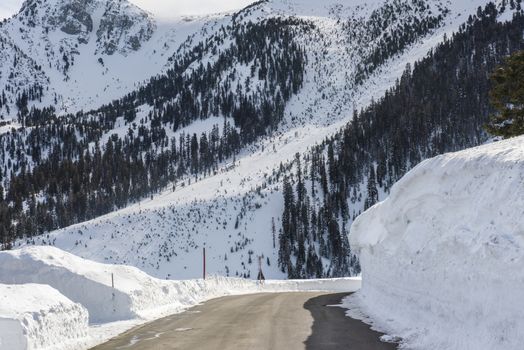 Snow-cleared road in Mammoth Lakes, California, January 2017, a record snow-fall year
