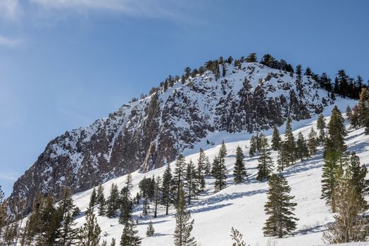 Hillside in Mammoth Lakes, California, January 2017, a record snow-fall year