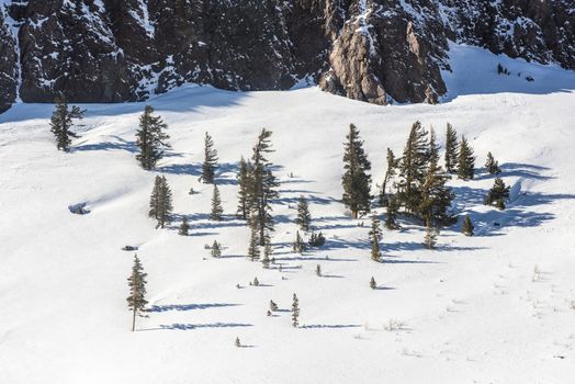 View of the snow-covered hill with pine trees in Mammoth Lakes, California