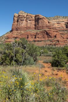 View of Courthouse Butte from Red Rock Scenic Byway in Sedona, Arizona