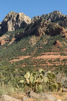 View from Schnebly Hill Road in Sedona, Arizona