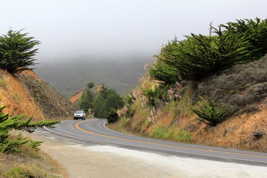 Road in the fog leading to Half Moon Bay. California