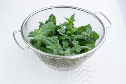 Green herbal mix of fresh mint and melissa herbs in stainless metal strainer bowl on white wooden background