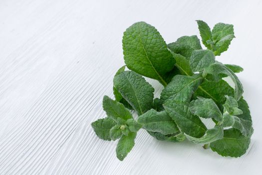 Green herbal mix of fresh mint and melissa herbs on white wooden background