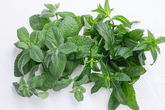 Green herbal mix of fresh mint and melissa herbs on white wooden background