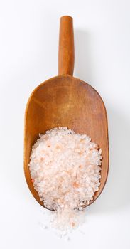 scoop of coarse grained Himalayan salt on white background