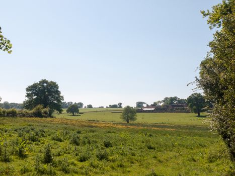 open farm field green grass lush pasture landscape background; essex; england; uk