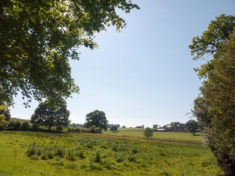 open farm field green grass lush pasture landscape background; essex; england; uk