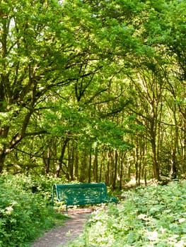 lush woodland landscape background with empty green chair and path; essex; england; uk