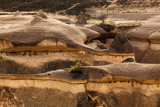 Eroded stone cliffs look like mushrooms near Goreme, Cappadocia, Turkey