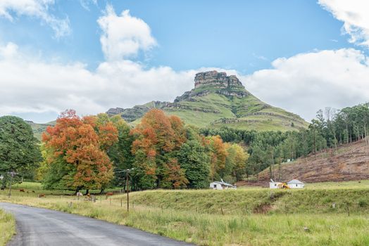 An Autumn farm landscape on the P317-road to Garden Castle in the Drakensberg near Underberg