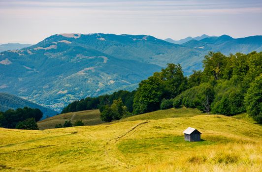 abandoned herdsman shed on hillside near forest. lovely summer nature scenery in Carpathian mountains