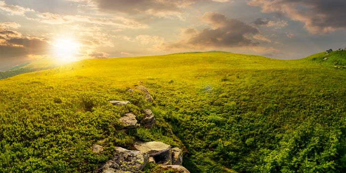 panorama of the hillside meadow at sunset. lovely summer landscape with boulders among the grass. location Runa mountain, Ukraine