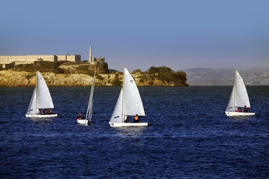 San Francisco, CA, USA - October 31, 2013: sailing boats  in the bay on the background of Alcatras in San Francisco