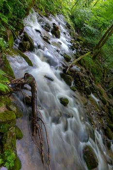 Mountain river - stream flowing through thick green forest. Stream in dense wood. Bistriski Vintgar, Slovenia