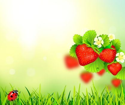 Summer background with strawberry. Strawberries on an abstract background. 