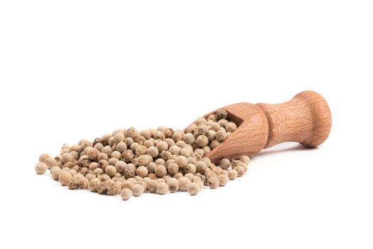 White pepper isolated on a white background, white peppercorn