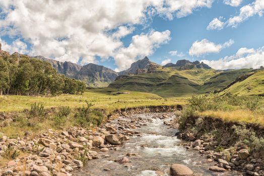 Garden Castle in the Drakensberg near Underberg. Hermits Wood Camp Site is visible between the trees and the Mlambonja River in front. Rhino Peak (3056m) is visible in the back