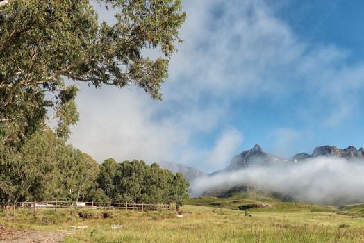 Garden Castle in the Drakensberg. Hermits Wood Camp Site is visible between the trees. Rhino Peak (3056m) is visible in the back behind fog
