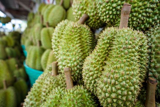 Durian on the basket is shelf in thai fruit market