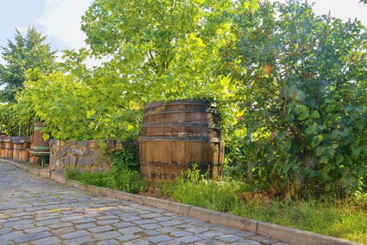 Old wine press and rustic wine barrel.. Wine background in Europe. Czech Republic, South Moravia. 