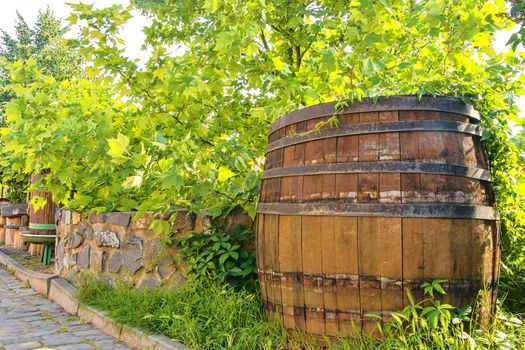 Old wine press and rustic wine barrel.. Wine background in Europe. Czech Republic, South Moravia. 