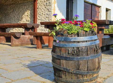 Old rustic wine barrel with flowers. Wine background in Europe. Czech Republic, South Moravia. 