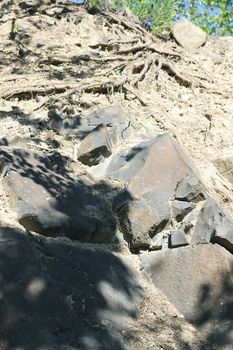 Basalt columns landscape rock background and tree roots