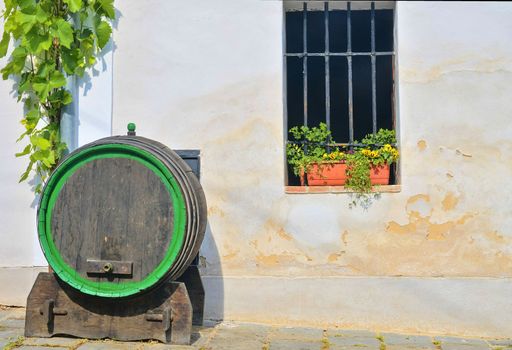 Old wooden barrel for wine. Classical wine cellar in Europe. Wine scenary. 