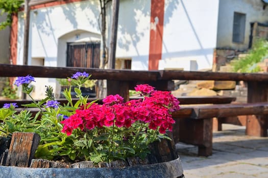 Old rustic wine barrel with flowers. Wine background in Europe. Czech Republic, South Moravia.