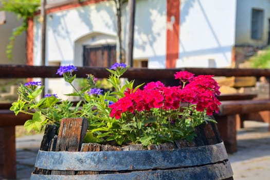 Old rustic wine barrel with flowers. Wine background in Europe. Czech Republic, South Moravia. 