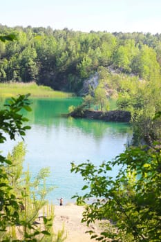 Lake and green forest trees view from above. Beautiful sunny landscape